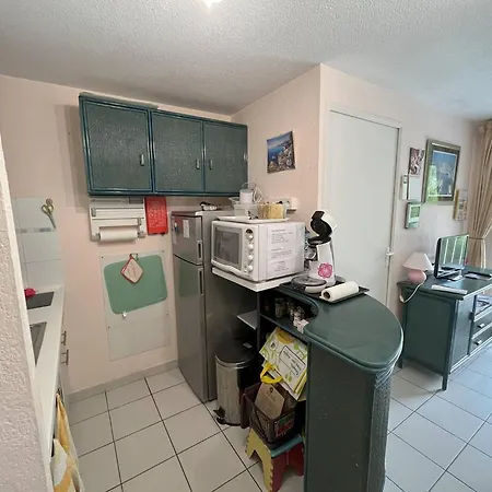 Apartment T2 Avec Parking Et Piscine, Proche Commodites - Fr-1-749-73 Agde